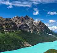 安全无毒可信的云呼整人电话